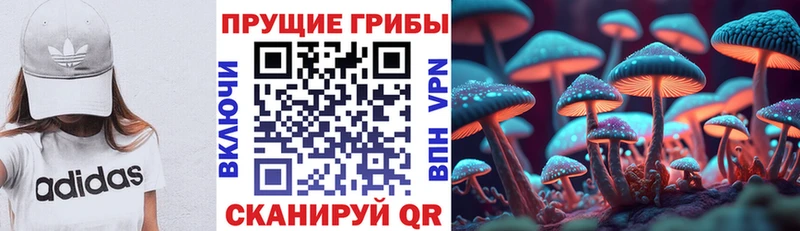 Галлюциногенные грибы Cubensis  Дятьково 