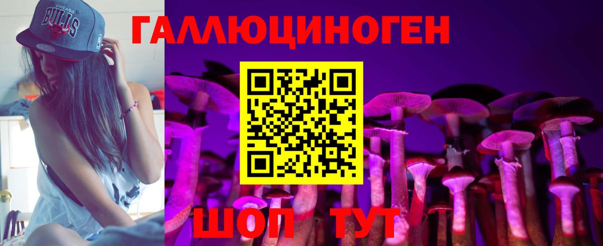 Галлюциногенные грибы ЛСД  Вход с VPN  Дятьково  Галлюциногенные грибы Psilocybe 